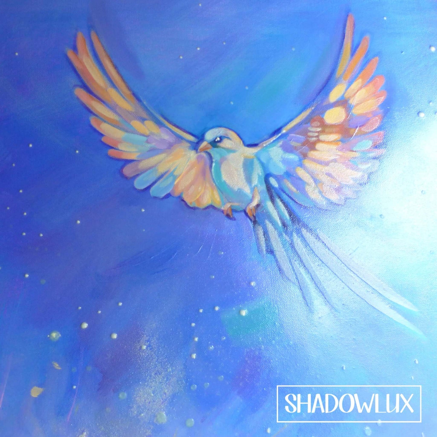 close-up of the glow in the dark bird with outstretched wings and colourful feathers, it is shown here in the daytime.