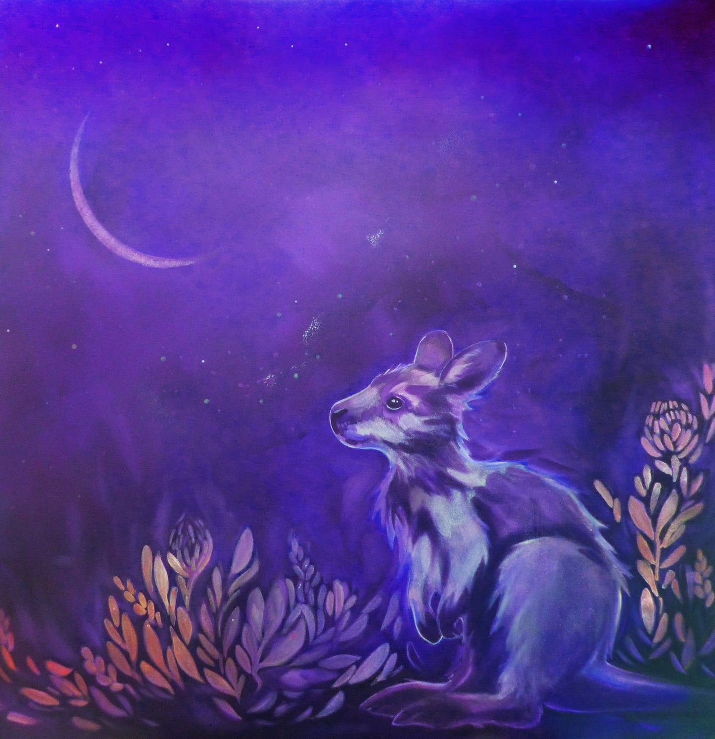 Kangaroo under a starry night sky with a crescent moon, australian art