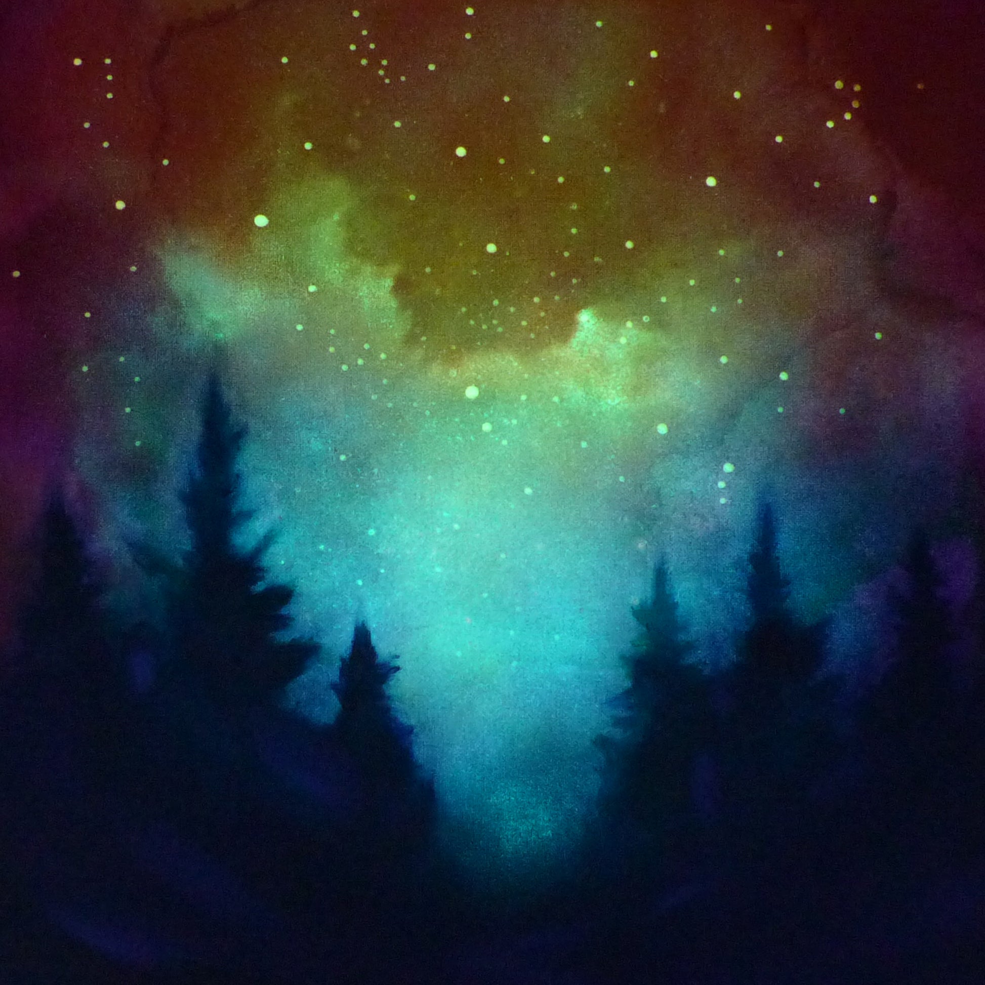 Colorfulglow in the dark landscape with silhouettes of trees
